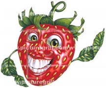 illustrator of strawberry illustrations